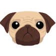 Pug